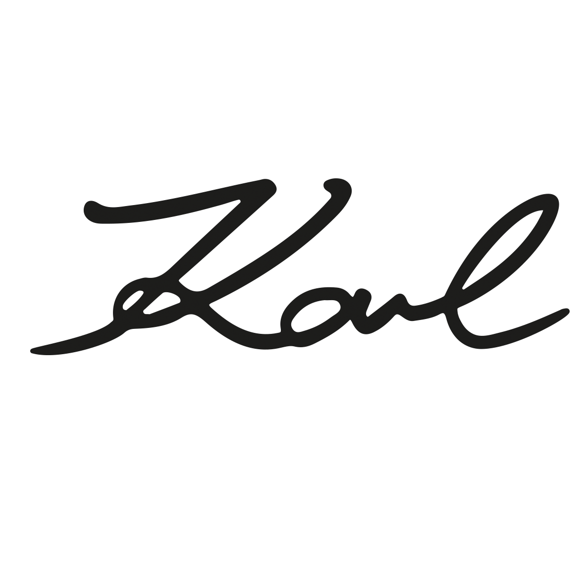 Karl van Karl Lagerfeld