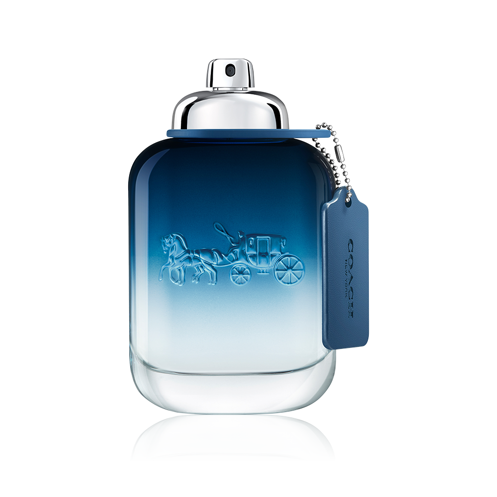 Coach Blue Eau de Toilette 100 ml