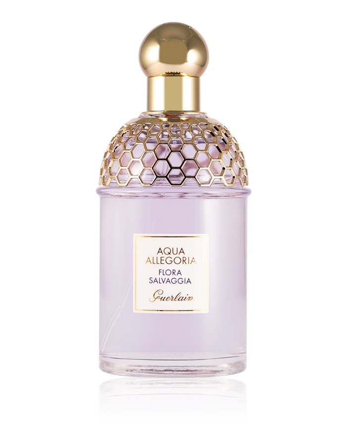 Guerlain aqua allegoria flora cherrysia eau de toilette. Aqua allegoria flora salvaggia. Aqua allegoria flora salvaggia. Guerlain aqua allegoria ginger piccante. Guerlain aqua allegoria flora salvaggia 125 мл.