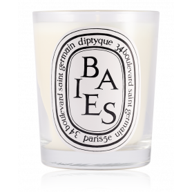 Diptyque Baies Candle 190 g