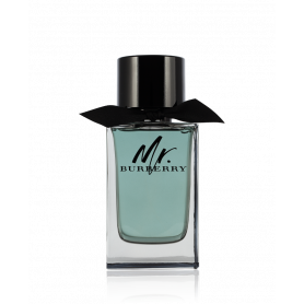 Burberry Mr.Burberry Eau de Toilette 100 ml