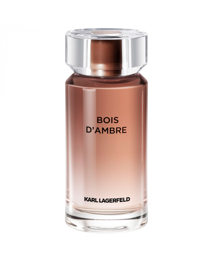 Karl lagerfeld best sale perfume 100ml
