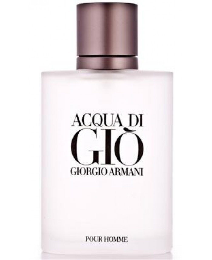 perfume giorgio armani acqua di gio 100 ml