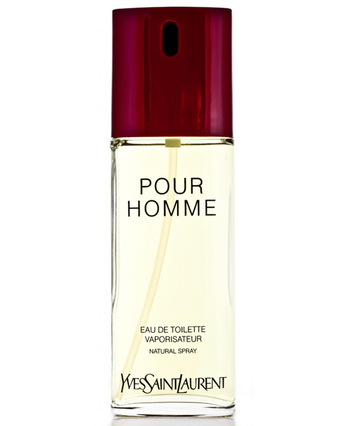 Yves Saint Laurent YSL Pour Homme Eau de Toilette 100 ml ...