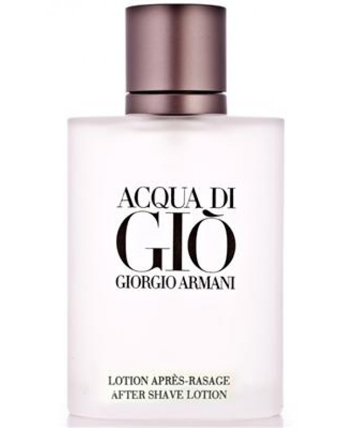Giorgio Armani Acqua Di Gio After Shave 100 ml | Perfumetrader