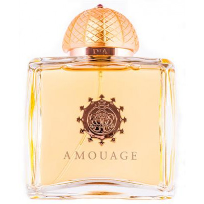Amouage Dia Woman Eau De Parfum 100 Ml huismerk kopen in de aanbieding Amouage Dia Woman Eau De Parfum 100 Ml huismerk kopen in de aanbieding