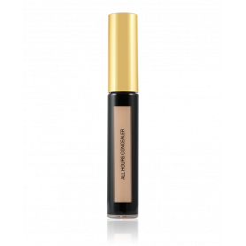 Yves Saint Laurent YSL All Hours Concealer Nr.02 Ivory 5 ml