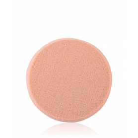 Shiseido Sponge Compact Foundation