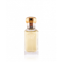 versace the dreamer for women